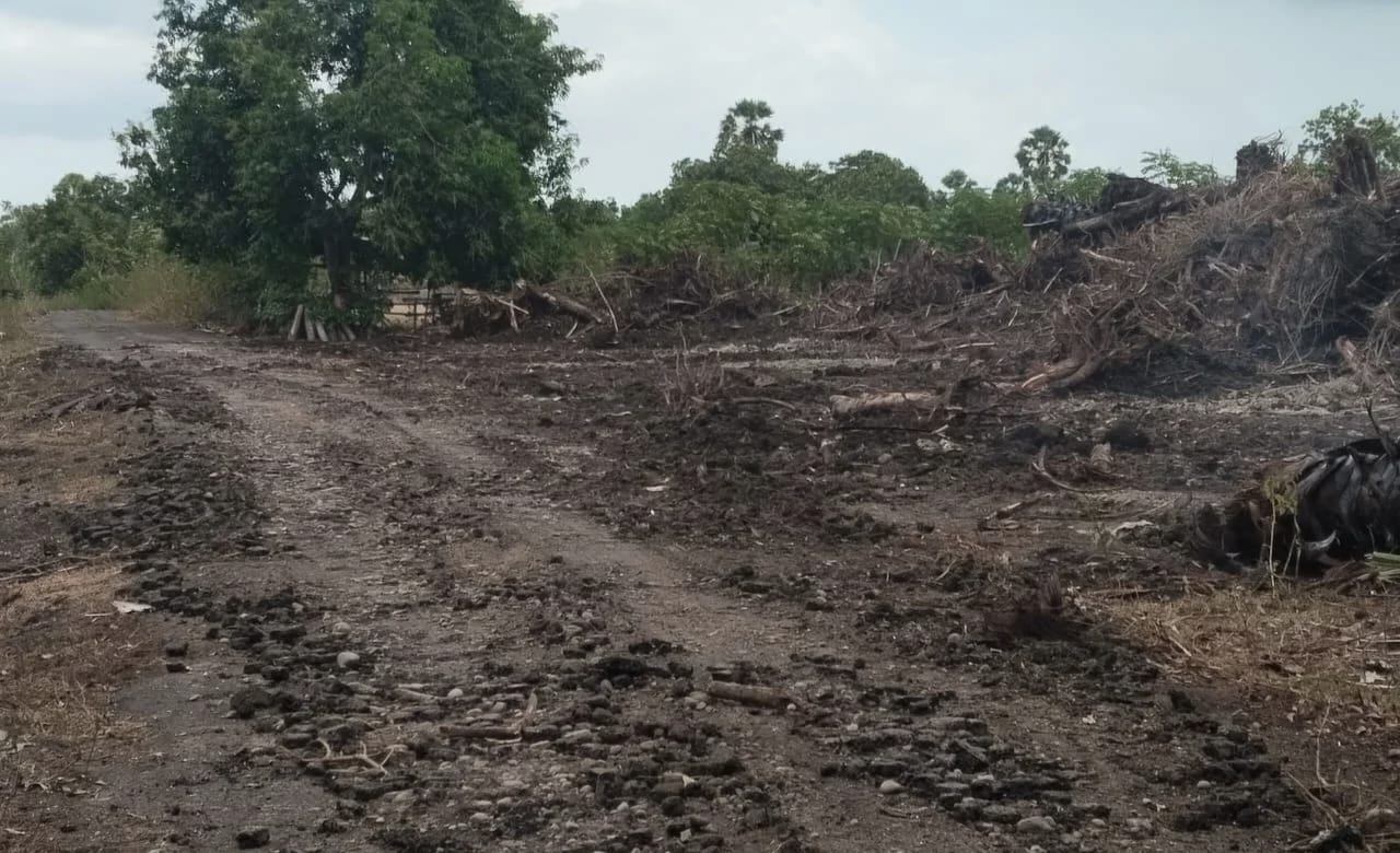 Aktivitas Cetak Tambak Diduga Ilegal, Takalar.